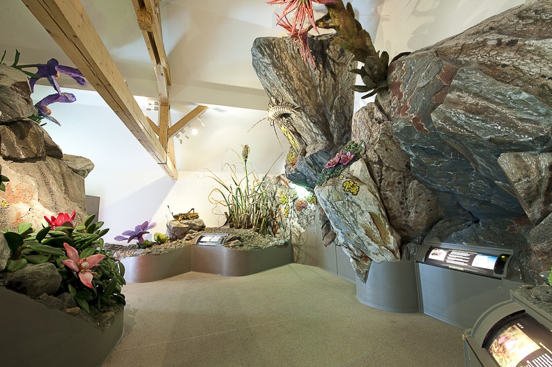 Ausstellung Haus Alpine Naturschau (5).jpg