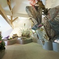 Ausstellung Haus Alpine Naturschau (5)