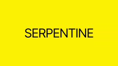 serpentine webheader animation 1200x675px