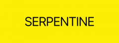 Serpentine - A Touch Of Heaven (And Hell)